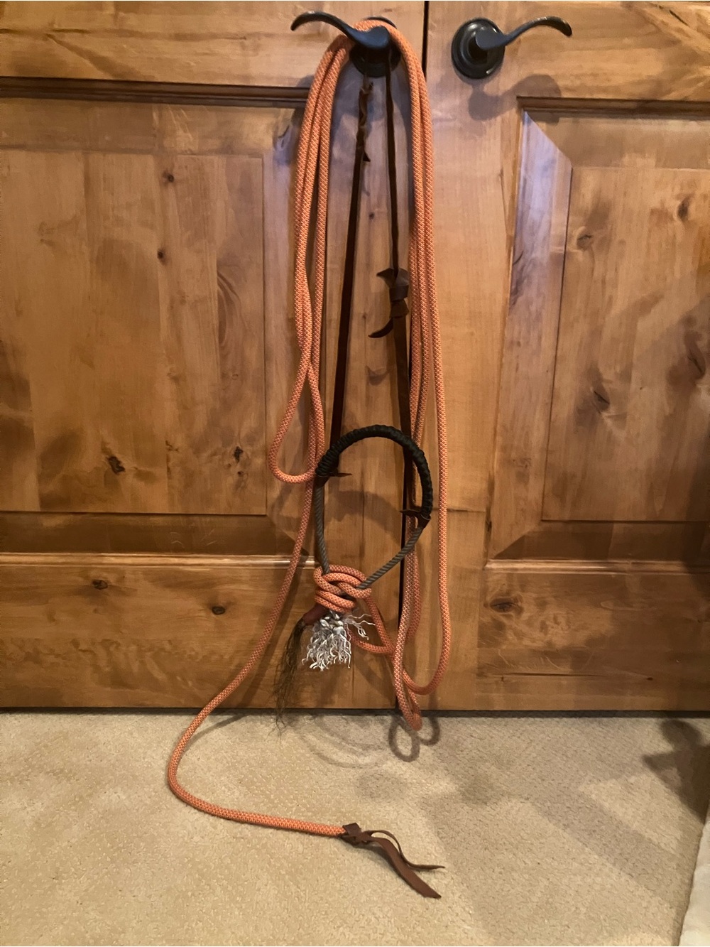 Orange And Black Loping Hackamore With Mecate and Hanger